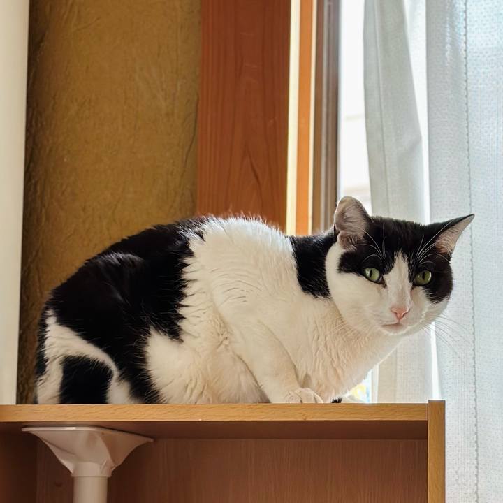 B98d2897 227b 4642 aa6e deeba6c7ebe6 1684632691548