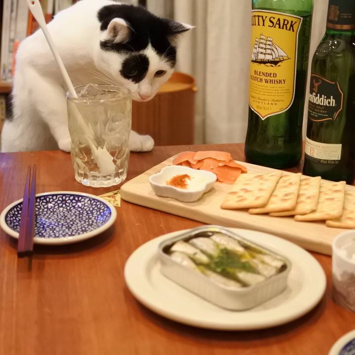 B98d3319 036d 4c19 8d74 6edb1836e9d8 1518356461059