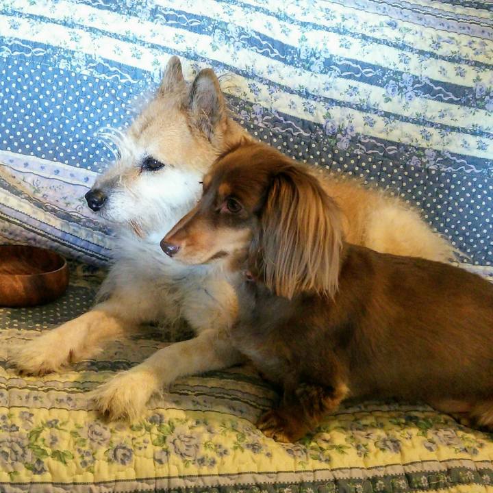 B98d67ee 2a5f 45c3 a76f d830c6fa79e6 1512275002566