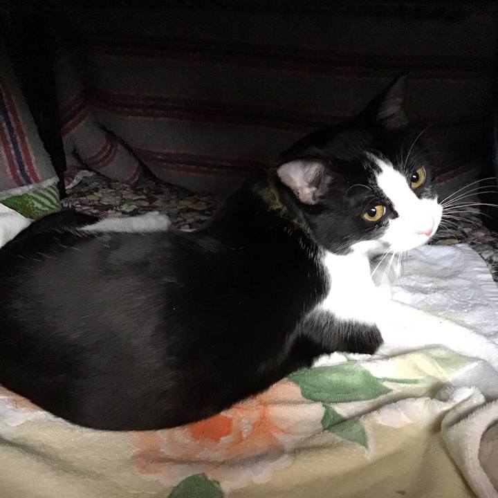 B98d8553 8ff3 4a7b 9e9a 57387df2d828 1647828175758