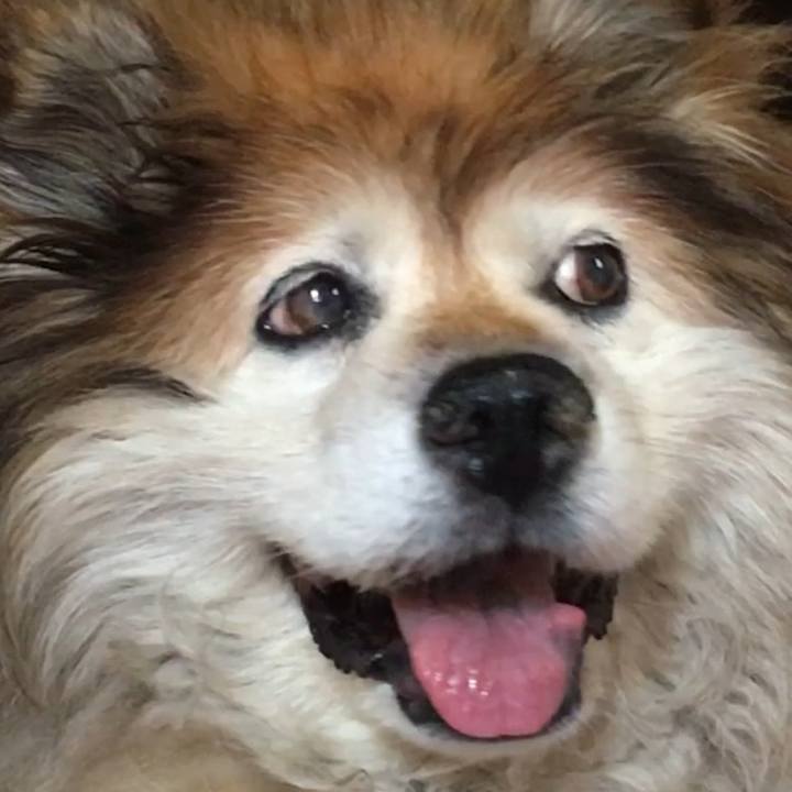 B98d9885 62b1 472a 8d17 f33ec7a0df42 1571304602341