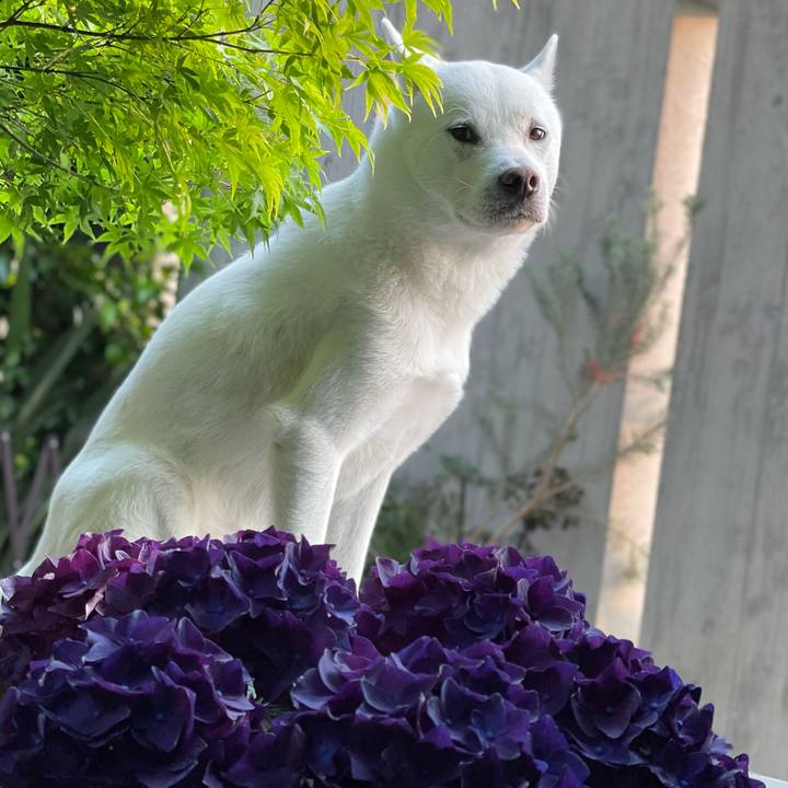 B98da1b5 cd74 4a2a a678 5bd6c7f128eb 1651488639253