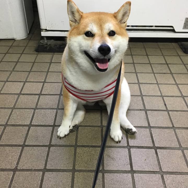 B98db497 716e 46d6 8b6d 99d81a91b329 1569491209404