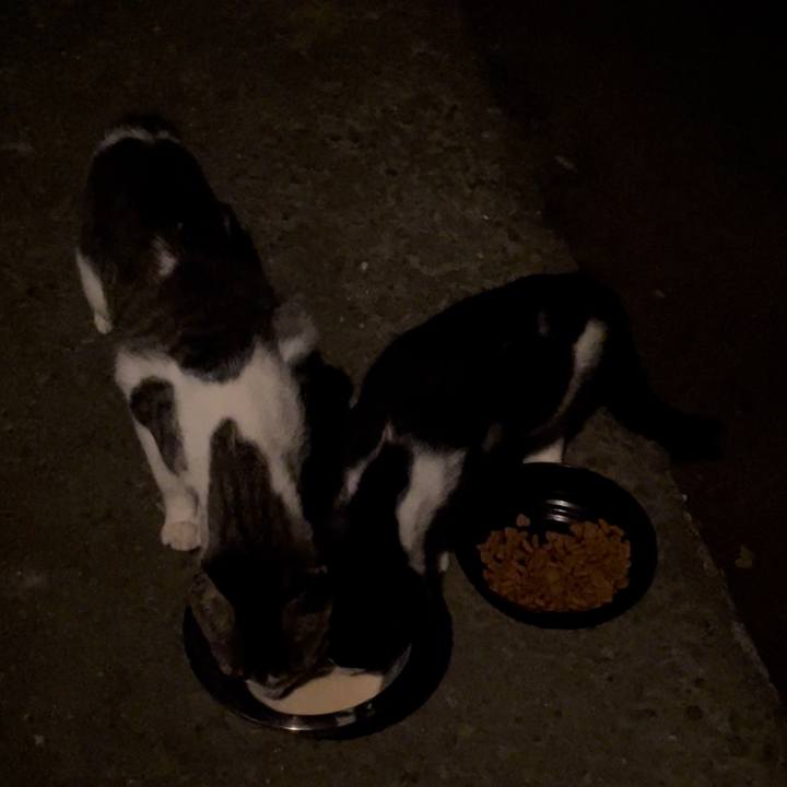 B98dc1d9 b219 4d4a 9d39 1c0ccb95f8b1 1658560715058