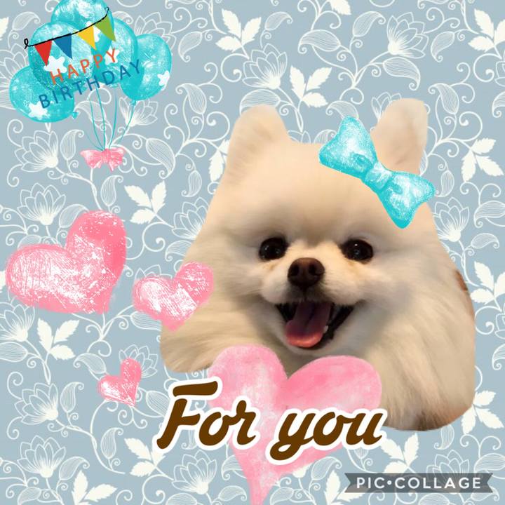 B98dc328 51e7 49ed bf76 121f6a32fa4e 1546274139763