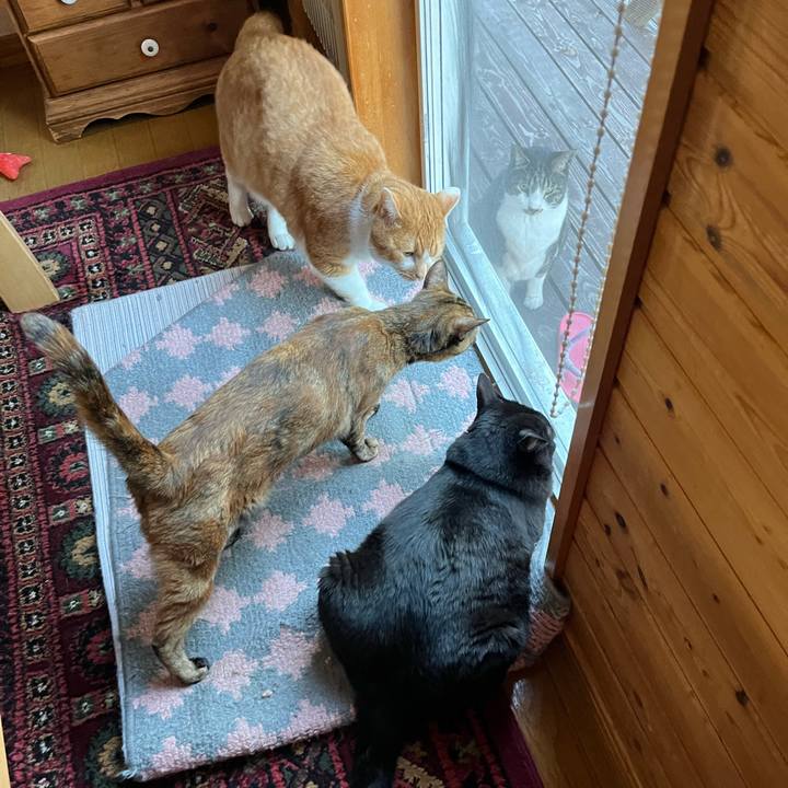 B98dd153 fb1b 4f55 8711 91a8cfb13d76 1692520229476