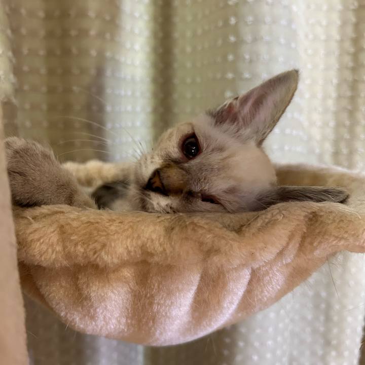 B98de00e a148 4e59 91e8 01a0a27157a6 1721917116901