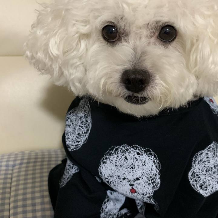 B98de20f 163f 48ea a3dd e5c8605eae74 1566699804696