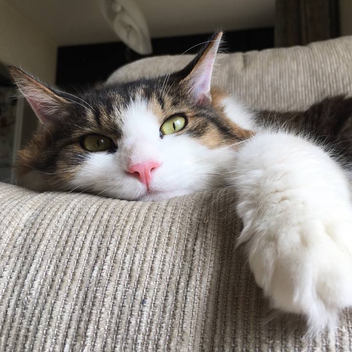 B98e0cd6 387d 46ff b3b6 53a43ddc2120 1522817627042