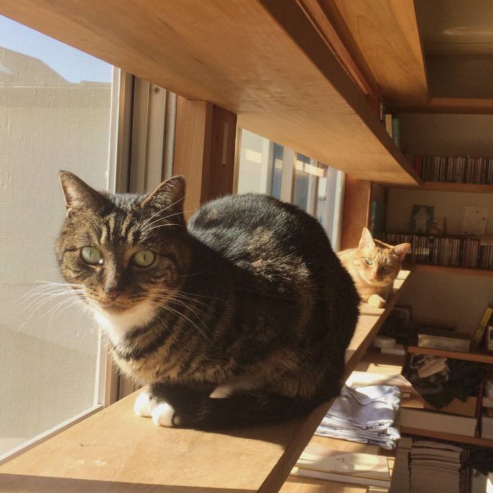 B98e593a ff9b 40e5 80df b31d4382b7cd 1515902829681