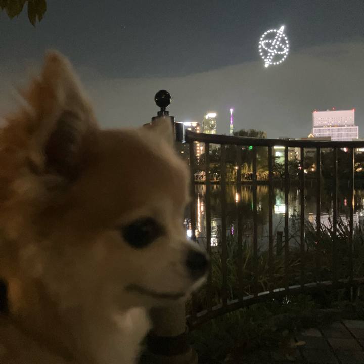 B98e747b 4d20 49b8 b705 5091b288cdcd 1762094065067