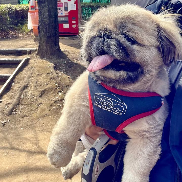 B98e8956 f388 48a7 bcfb b672765f4ce2 1742880280106