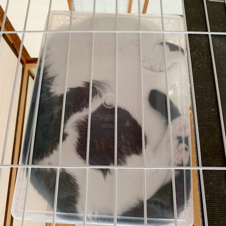 B98eae30 3d1f 4fa3 9b91 52feabeb2075 1538359845978