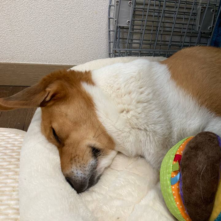 B98f14d9 c768 4d35 9221 e956d34d6429 1709035809422