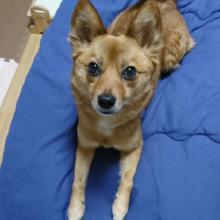 B98f1aee 2ebd 42f9 92c7 e5cce02011e6 1525274626143