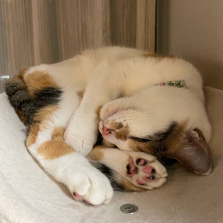 B98f1d6d a3a5 4cb3 80cf 40f43e8b2521 1697979821689