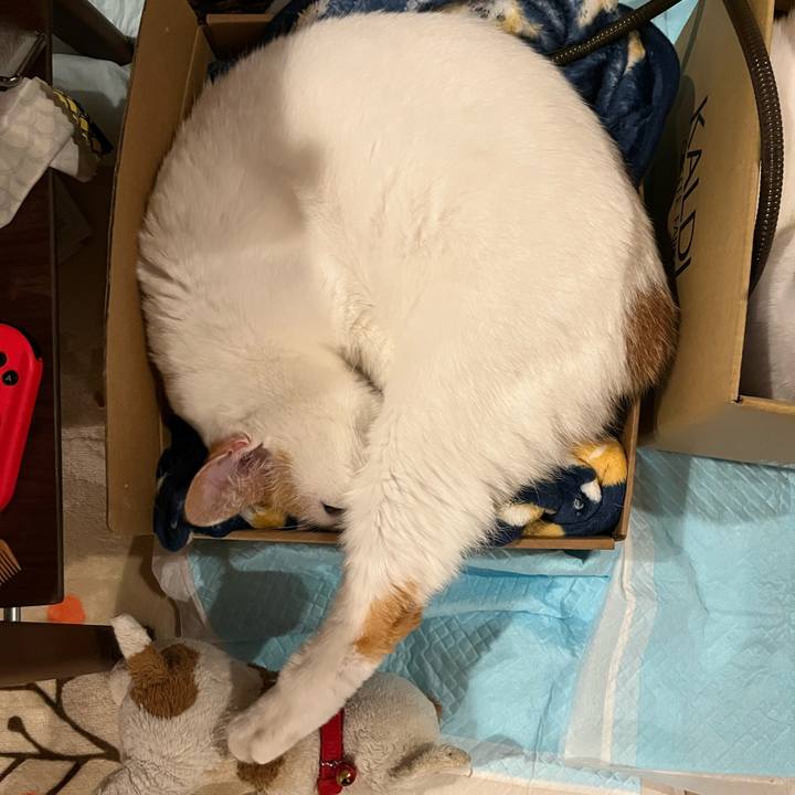 B98f3e51 223b 47a9 9fd6 b65d9f184351 1766236428178