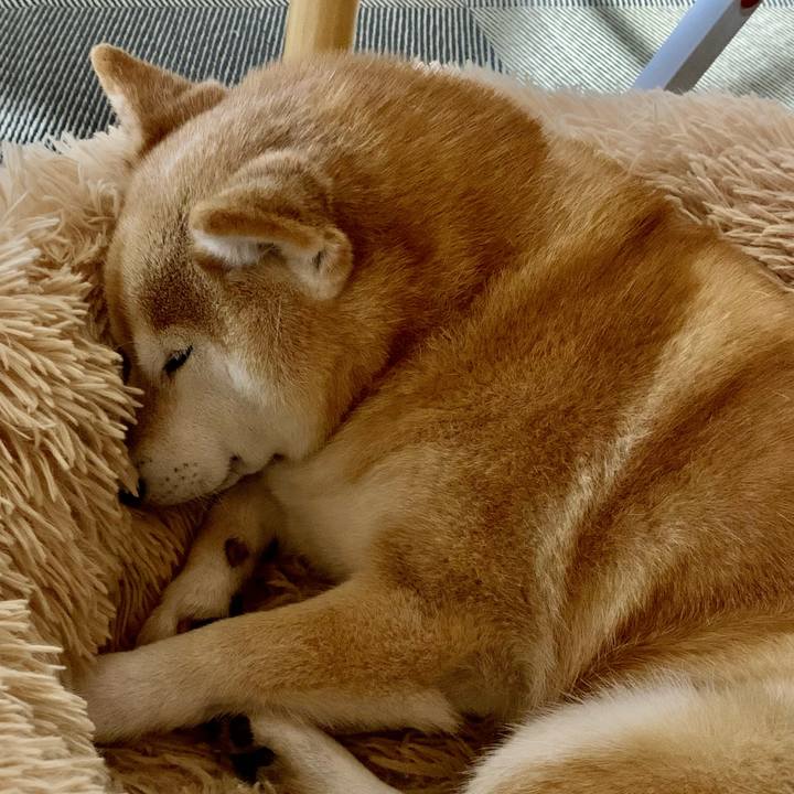 B98f4983 66b1 4750 b7de 1bfec9e057f2 1680955897866