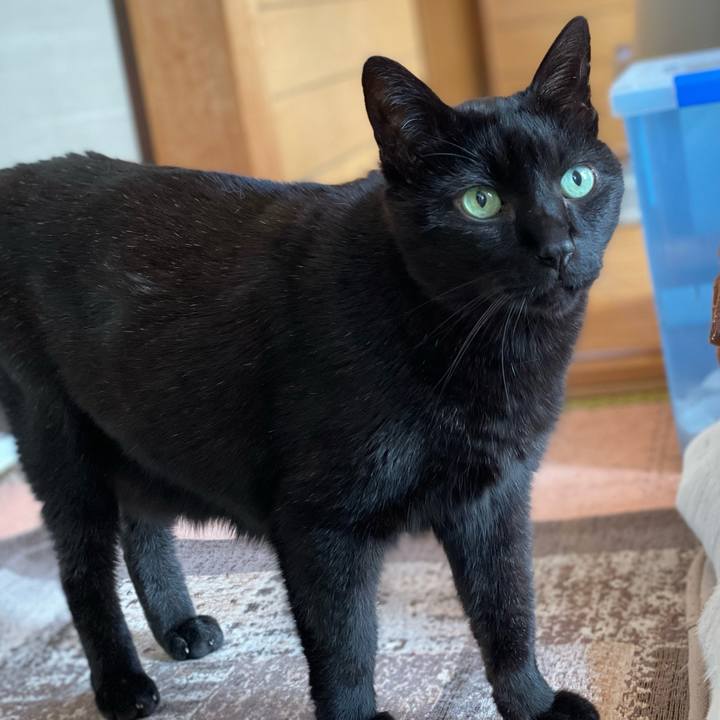 B98f71ac 741e 408f 8c93 157591449200 1651542966256