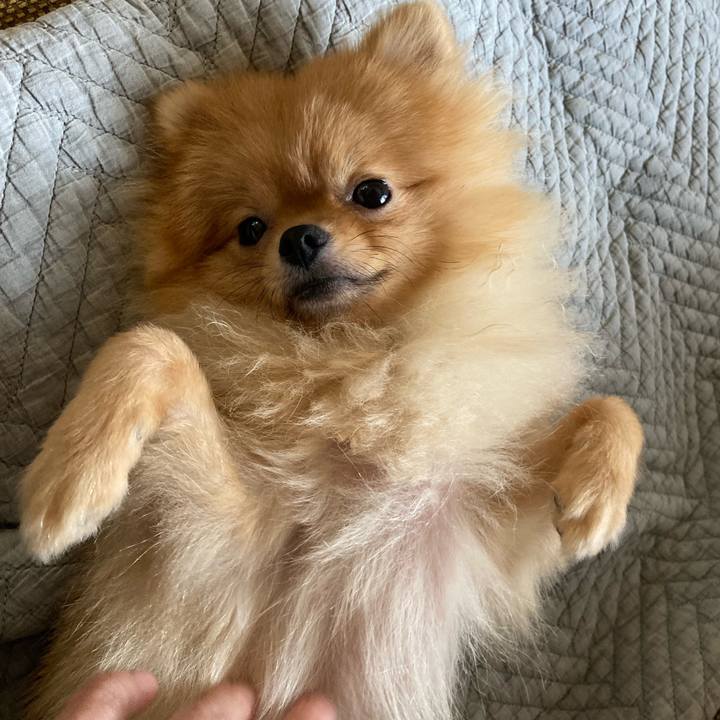 B98f71f4 83a1 4b69 a961 ff6807c30765 1659860788791