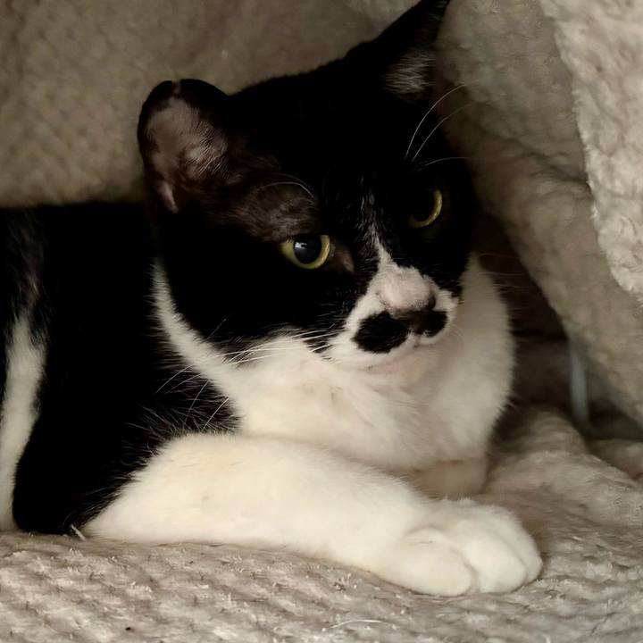 B98f8c85 6bb6 430c a05e 3c766ebd525c 1741658721114