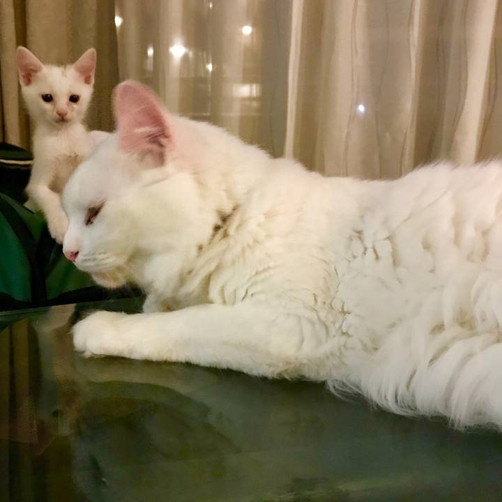 B98f9376 2e7a 4a92 8f09 224abbdee5f0 1564832487958