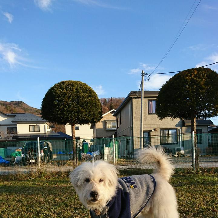 B98fba00 9b2a 48e6 abc8 0806dbcf99f3 1575875726720