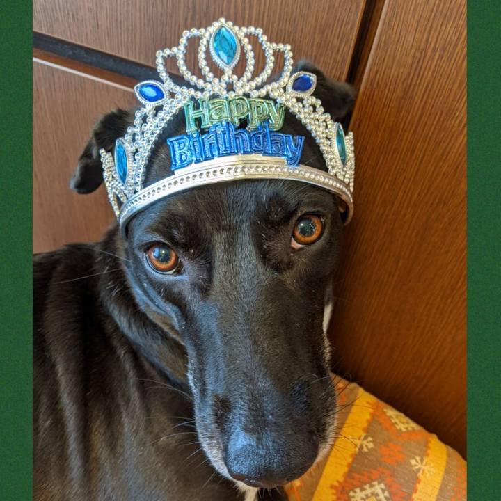 B98fd44e 165a 4cc9 8e4a cd7feb98637c 1630302142203