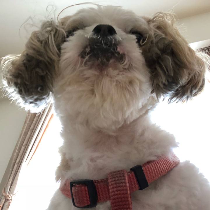 B98ff13f e658 4f69 ae4c 3eac6ecc548a 1533764907722