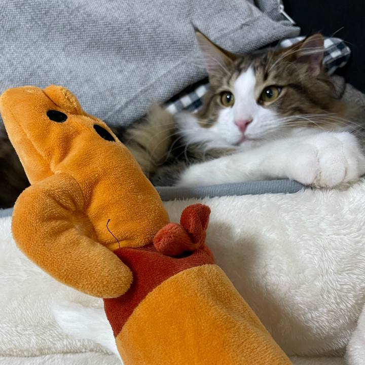 B9909435 0e71 4260 9387 d44b0f3e7080 1638741168121