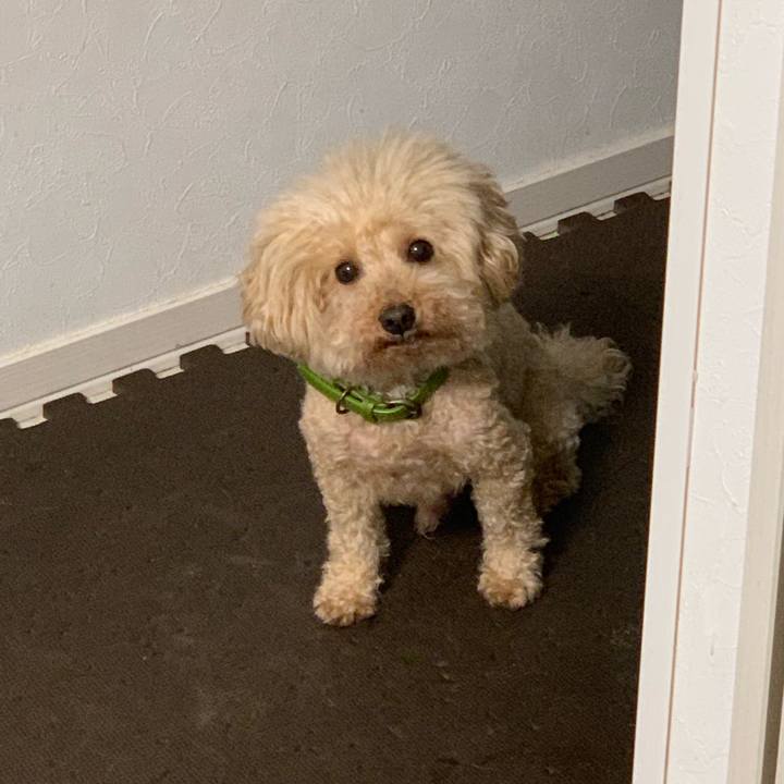 B99122cc 61ad 4258 85c8 ff0d1853f9fe 1562798384687