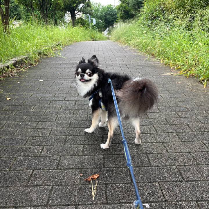 B99138ca 61d5 49ec 903f 9a583e56ea44 1757782565915