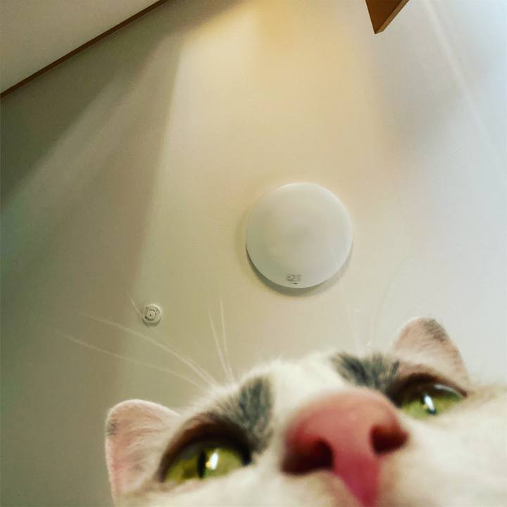 B991daff 366d 4b29 8d87 1d5bf092a6c7 1570773241808