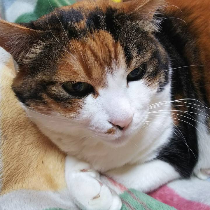 B991f2ec 83ee 4395 b07a f9856440821b 1544324369985