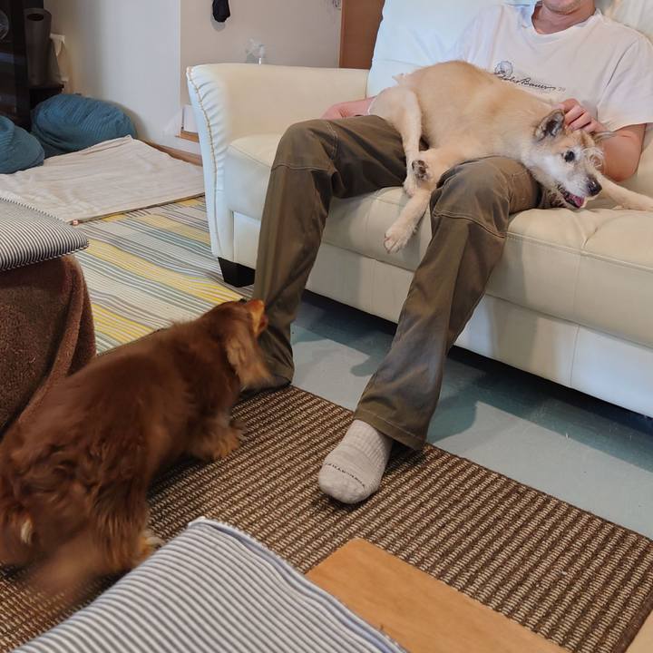 B992413f 133d 4f3c b180 782126ecf7af 1652941338940