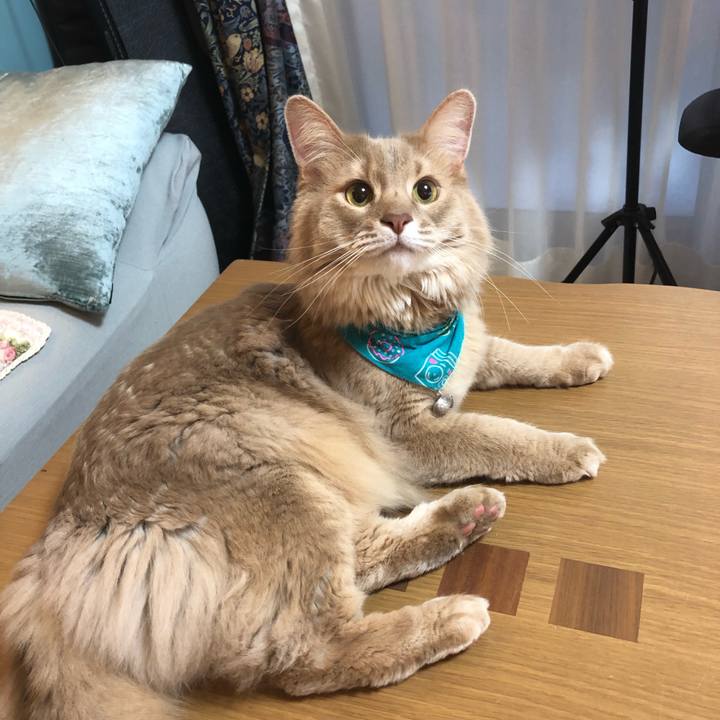 B9924204 4640 46bc a4bc acc0b725a954 1642381036603