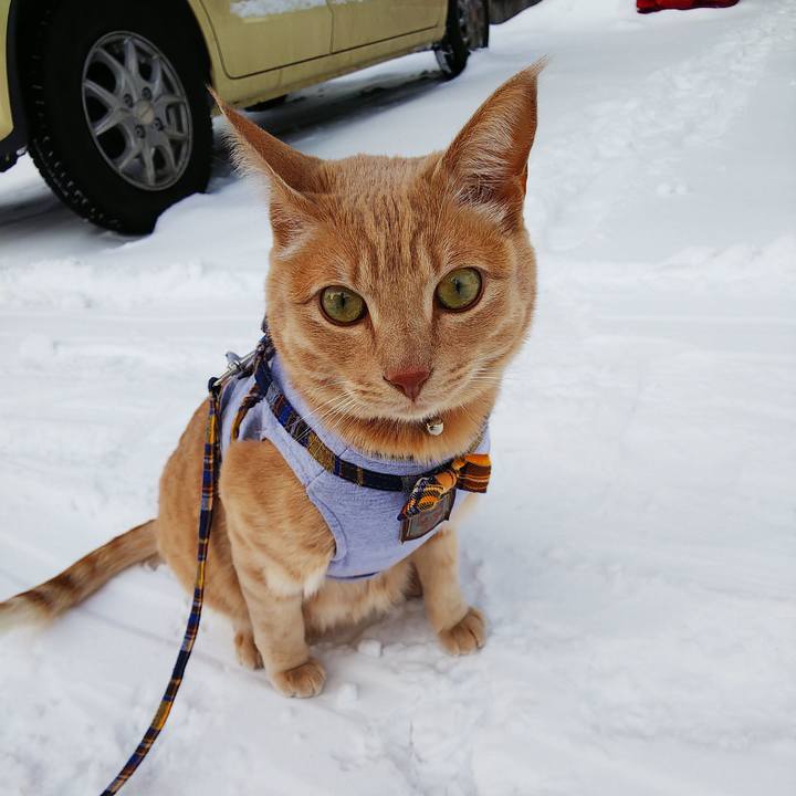 B992a394 523a 4067 af22 b33ca5091d1b 1580002097555