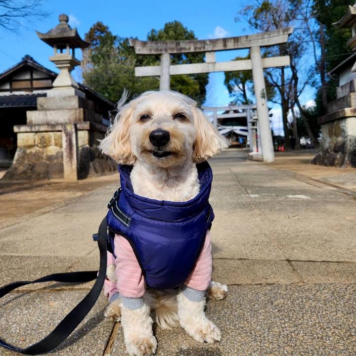 B992dc54 960c 4d38 b697 3fda47f477e4 1767327404292