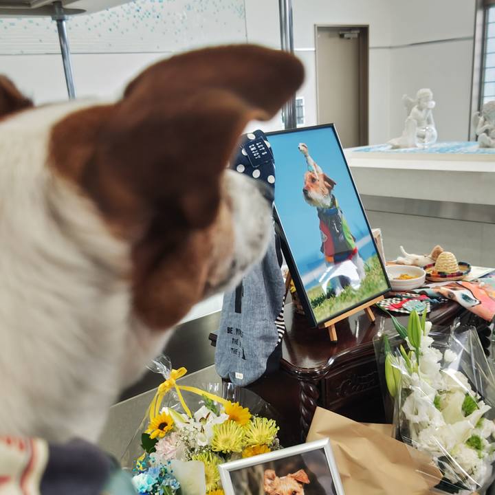 B992ead2 4c7c 4815 a3aa f7795e5b9cec 1748771972970