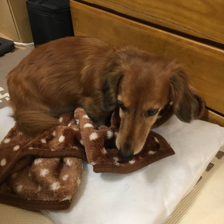 B9934abd 6b5b 4d03 b72e 8c86b9e2b43c 1575640880027