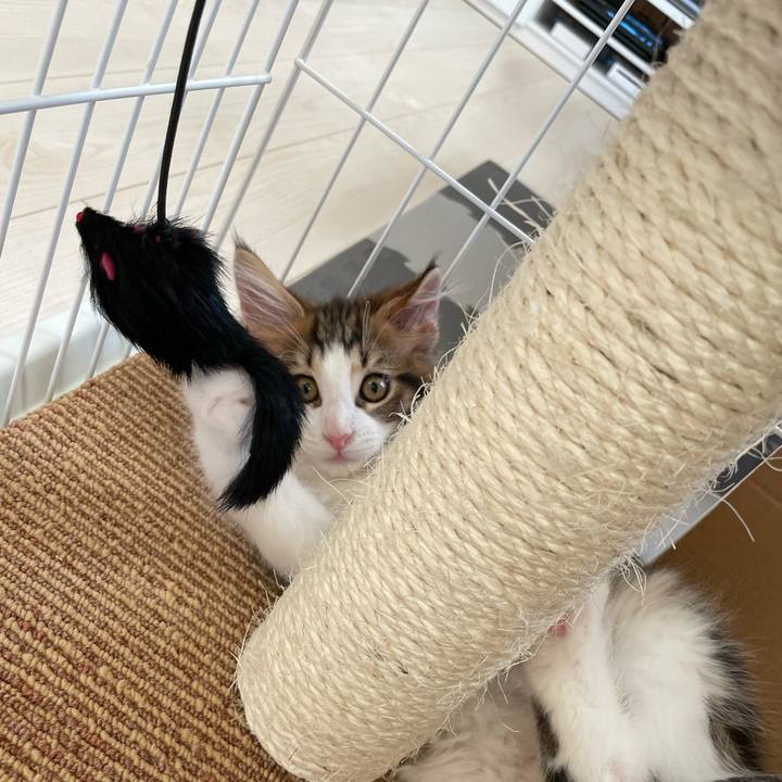 B99360d9 b992 4096 94df 7faf15314203 1632131562439