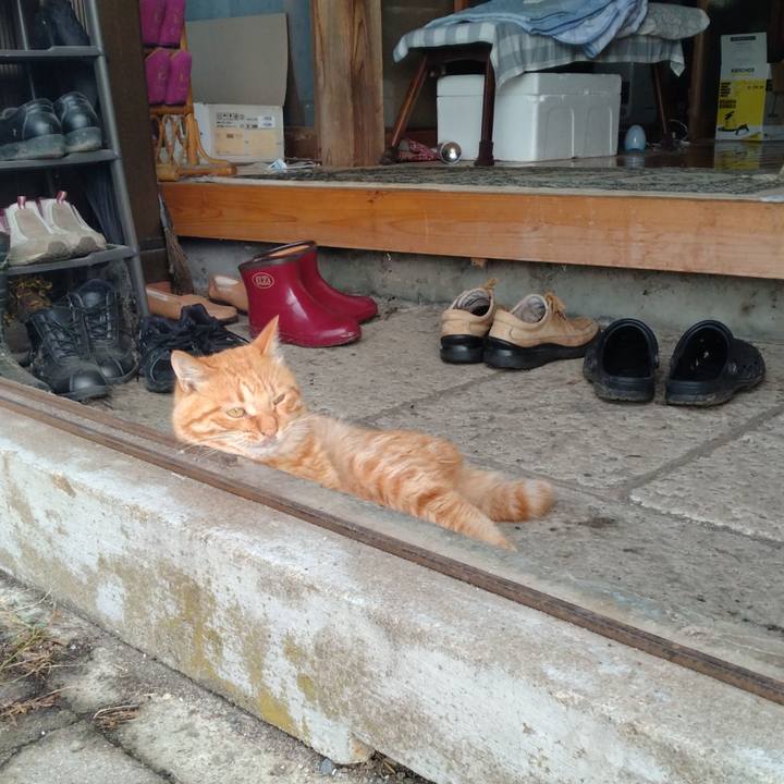 B993977c aa87 475e 89c5 0ed940adfd02 1689201578143