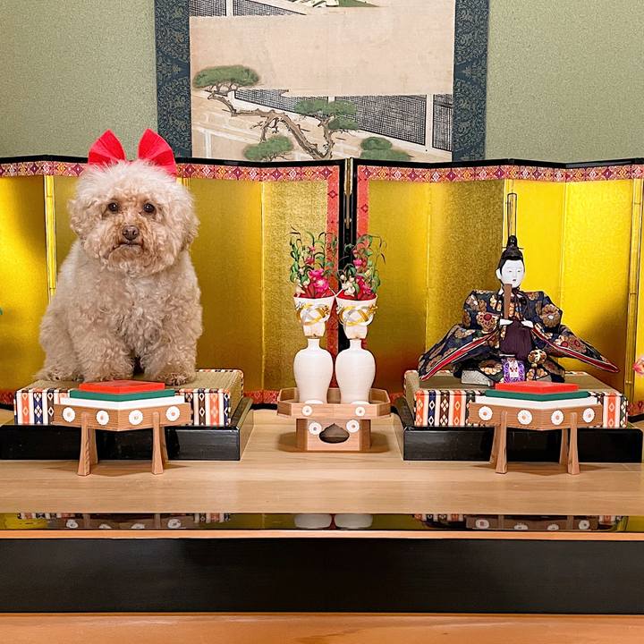 B993bf36 a9ca 49e0 bda4 126711bdc9e1 1614765588077