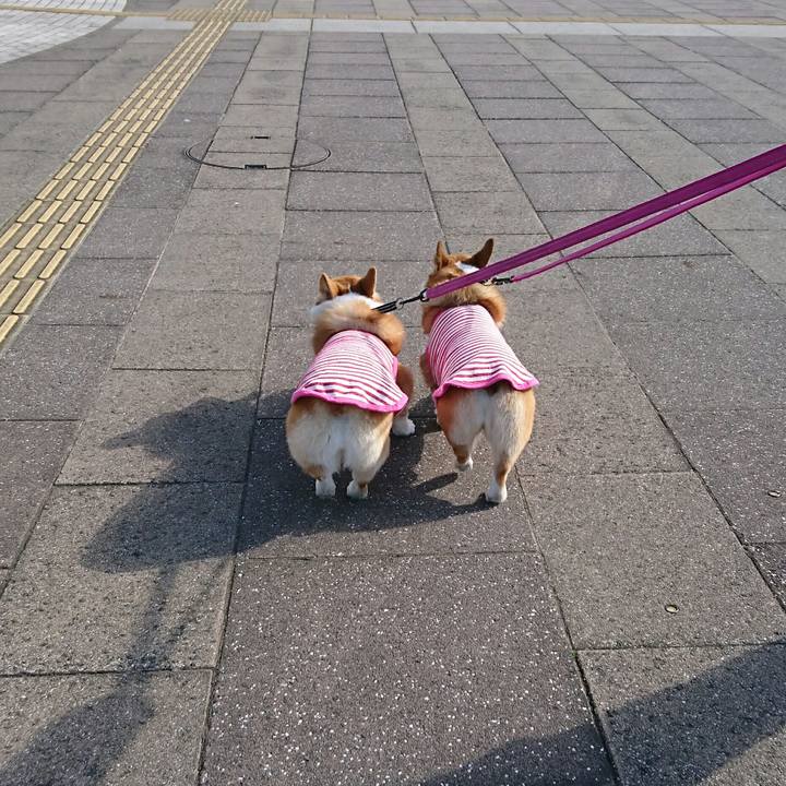 B993c6f2 0b8b 4563 9c6a 970f1134d5af 1548483371399