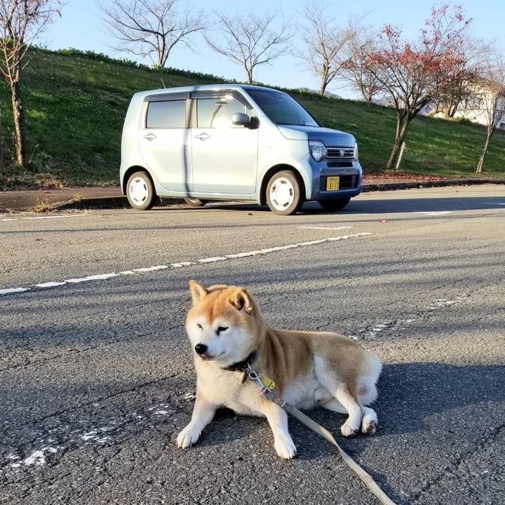 B9941516 16f5 41c4 8b9b 797ff86d7c9f 1636180667042