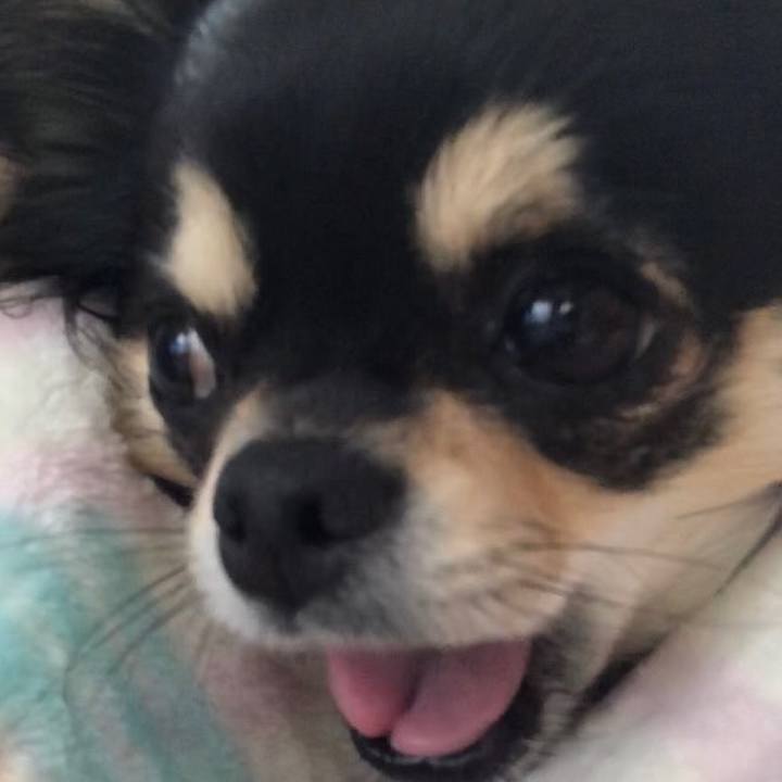 B99432f6 8045 4e8f 85fb 551b23e5c62a 1579247634817