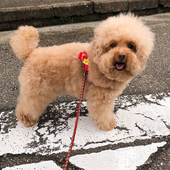 B99436a0 1725 45bc a22f 3297a571a075 1594816460381