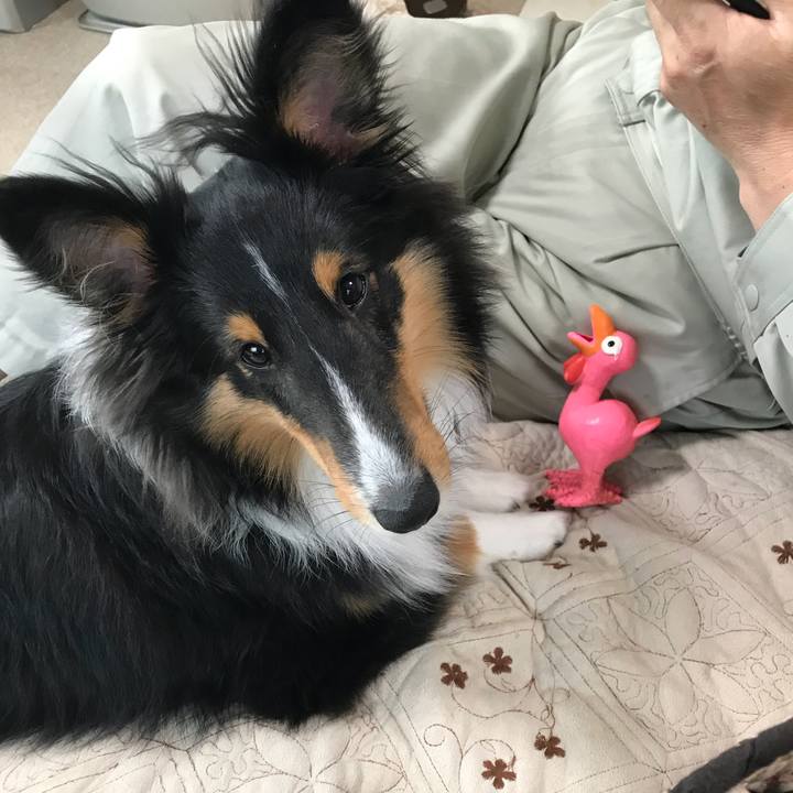 B994c490 895f 41a5 8334 d23cb8b58ce3 1522276735006