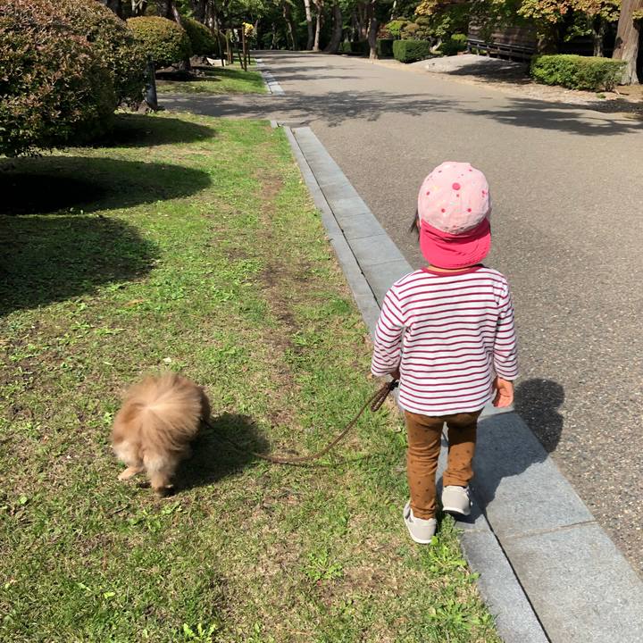 B995640b e647 4538 bc38 13591d897854 1569669716138