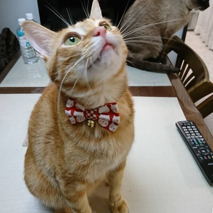 B99589d4 f4f6 484e b90b fb40d7fb19f7 1513470582933